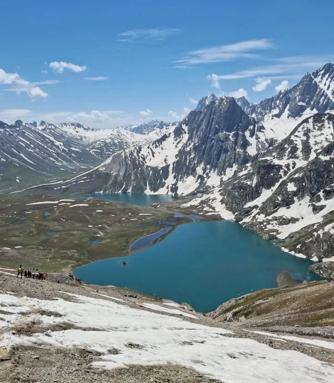 Meadows on Kashmir Great Lakes Trek